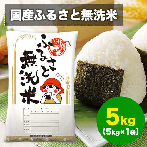 【計5kg(5kg×1)】国産ふるさと無洗米