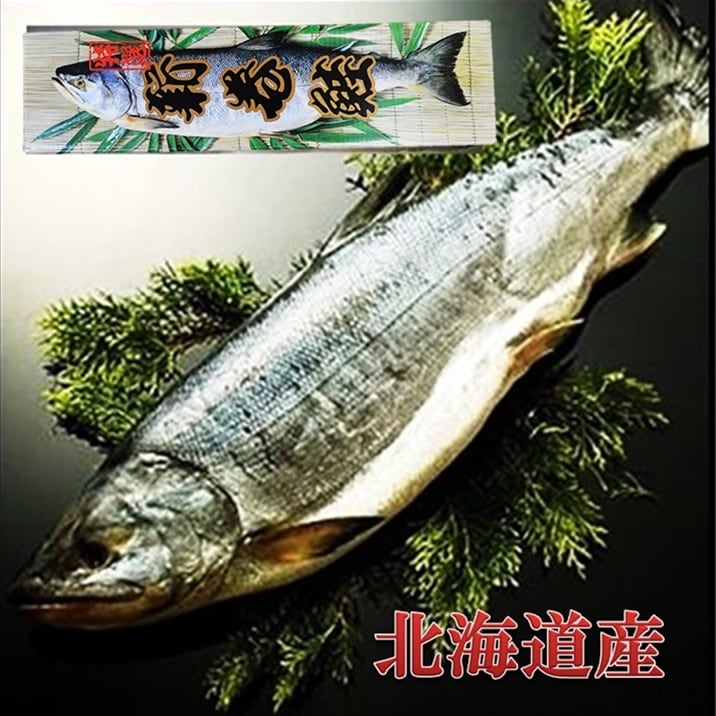 【1.8~2kg】新巻鮭 《北海道産 》銀毛1本化粧箱入れ