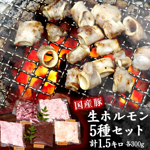 【5種計1.5kg(各300g×1パック)】豚の生ホルモン5種セット