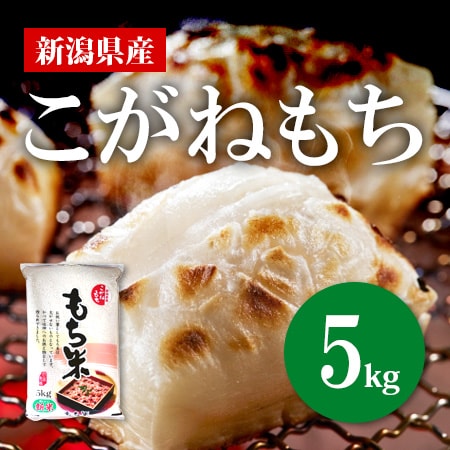 【5kg×1袋】令和7年産 新米【もち米】新潟県産こがねもち