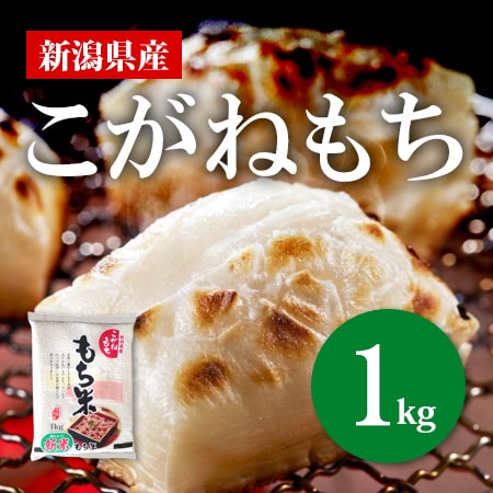 【1kg×1袋】令和7年産 新米【もち米】新潟県産こがねもち