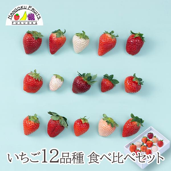 【予約受付】1月中旬~順次出荷　いちご12種食べ比べ