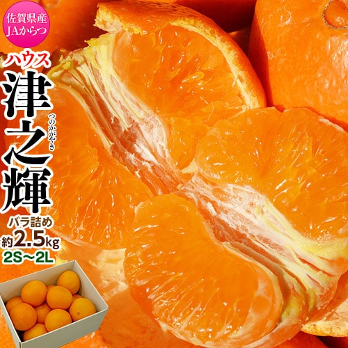 【予約受付】1/12~順次出荷【約2.5kg/2S〜2L】佐賀県産JAからつ 津之輝（つのかがやき）