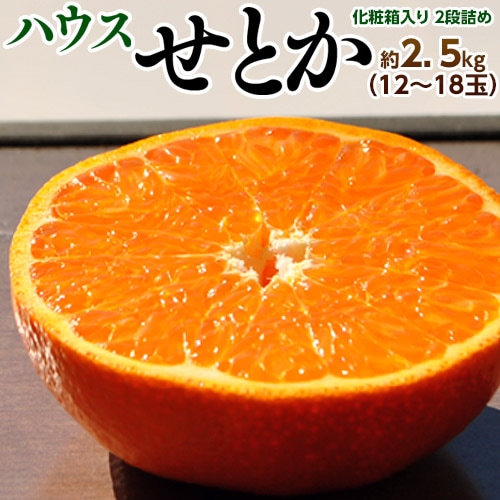 【予約受付】1/6~順次出荷【約2.5kg/12〜18玉】佐賀県産JAからつ せとか