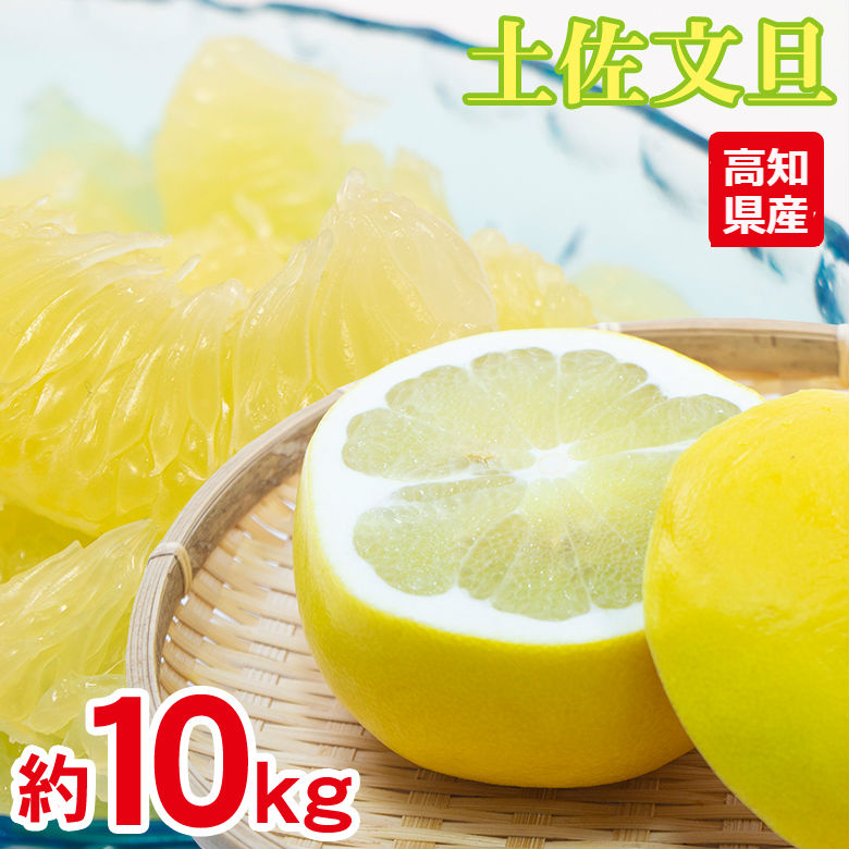 【予約受付】1/20~順次出荷【約10kg】土佐文旦 ご家庭用