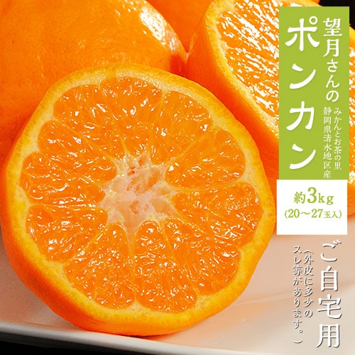 【予約受付】1/9~順次出荷【約3kg/20-27玉】静岡県産 望月さんのポンカン ※スレ傷あり