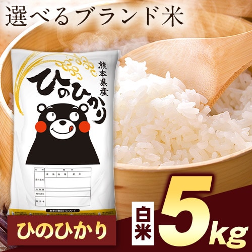 【計5kg(5kg×1袋)】令和7年産 熊本県産選べる三大銘柄米 白米【ヒノヒカリ】
