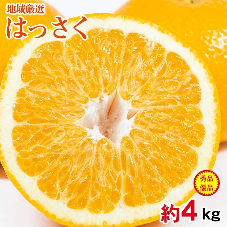 【予約受付】2/5~順次出荷【約4kg/サイズお任せ】地域厳選はっさく  秀・優品