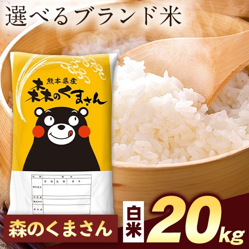 【計20kg(5kg×4袋)】令和7年産 熊本県産選べる三大銘柄米 白米【森のくまさん】
