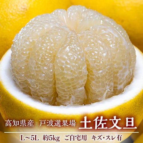 はははさま専用 選べる柑橘2年生 はははさま専用 選べる柑橘2年生