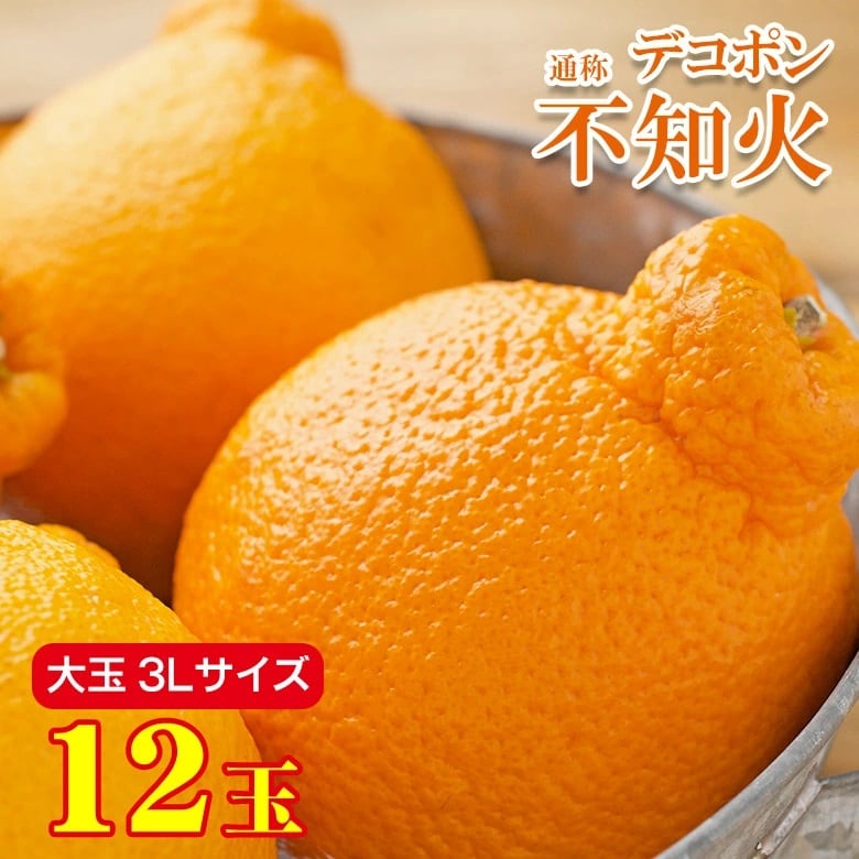 【予約受付】2/10~順次出荷【12玉/3Lサイズ・大玉】地域厳選 不知火