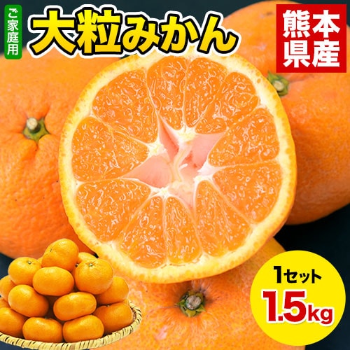 【1.5kg】大粒みかん※ご家庭用（傷あり サイズ不選別）