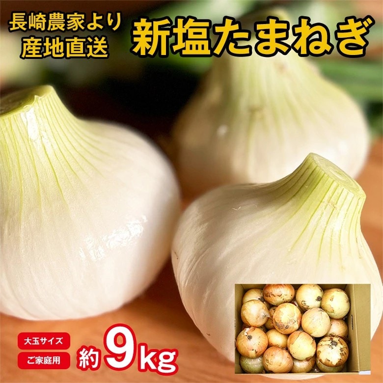 【予約受付】3/25~順次出荷【約9kg/大玉サイズ】長崎県産新塩玉ねぎ (ご家庭用、傷あり)