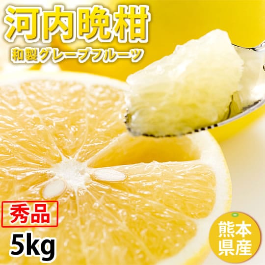 【予約受付】3/23~順次配送【約5kg】熊本県産 秀品 河内晩柑