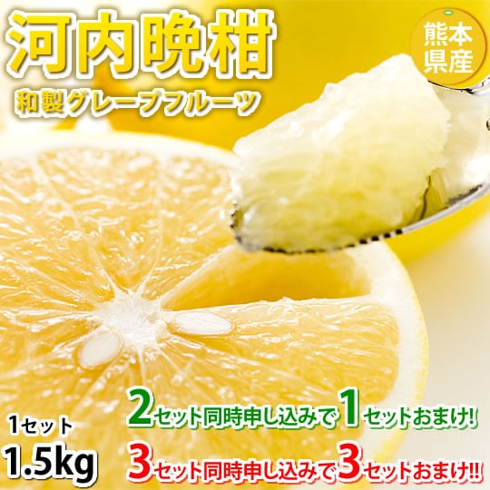 【予約受付】3/23~順次配送【約1.5kg】熊本県産 河内晩柑（傷あり、不揃い、ご家庭用）