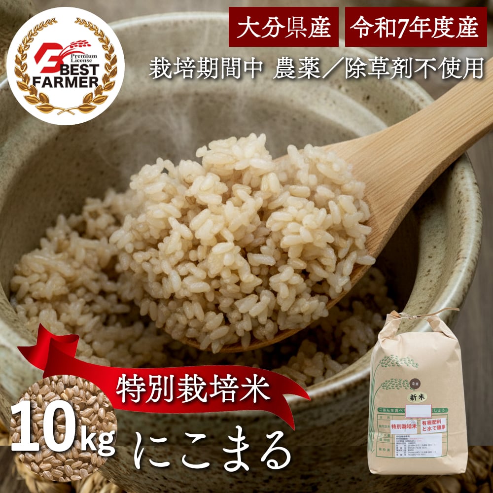 【玄米10kg】特別栽培米 大分県産 宗像農園 にこまる 栽培期間農薬不使用 令和7年産