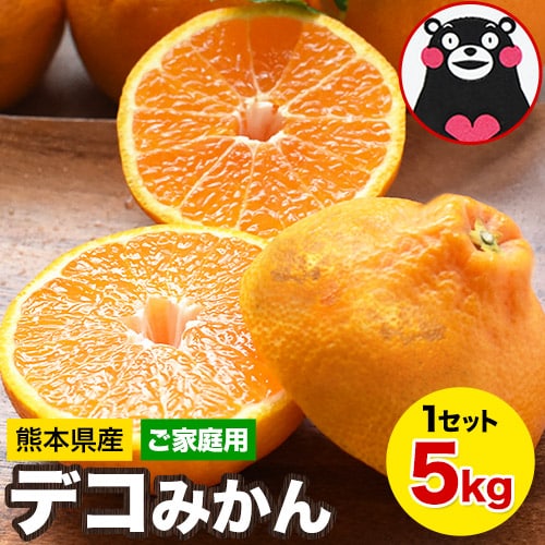 【予約受付】2/27~順次出荷【5kg】デコみかん※ご家庭用（傷あり サイズ不選別）