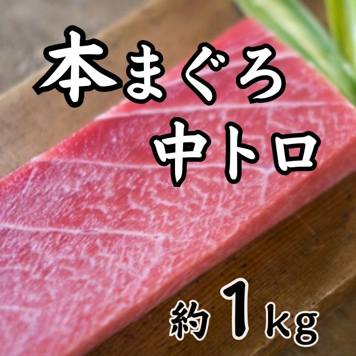 【約1kg】本まぐろ 中とろ（形・大きさ不揃い柵）