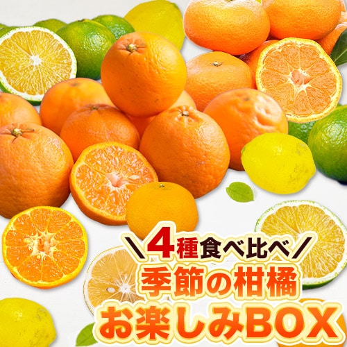 【4.5kg】季節の柑橘お楽しみBOX4種セット※ご家庭用（傷あり サイズ不選別）