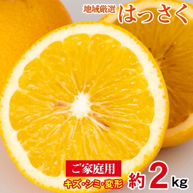 【予約受付】2/5~順次出荷【約2kg/サイズお任せ】地域厳選はっさく  ご家庭用