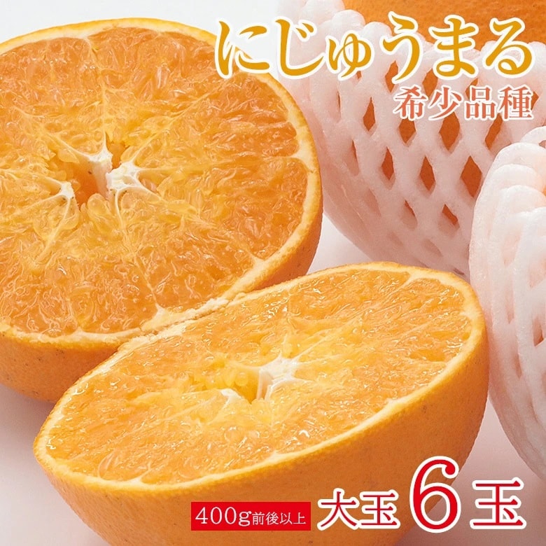 【予約受付】3/1~順次出荷【大玉6玉/1玉400g以上】佐賀県産にじゅうまる 希少品種