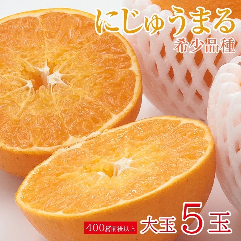 【予約受付】3/1~順次出荷【大玉5玉/1玉400g以上】佐賀県産にじゅうまる 希少品種