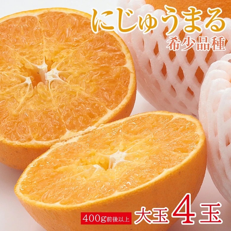 【予約受付】3/1~順次出荷【大玉4玉/1玉400g以上】佐賀県産にじゅうまる 希少品種