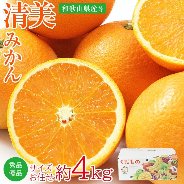 【予約受付】3/15~順次出荷【約4kg/サイズおまかせ】和歌山県産 清美オレンジ 秀品・優品