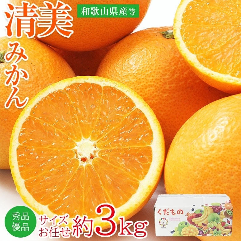 【予約受付】3/15~順次出荷【約3kg/サイズおまかせ】和歌山県産 清美オレンジ 秀品・優品