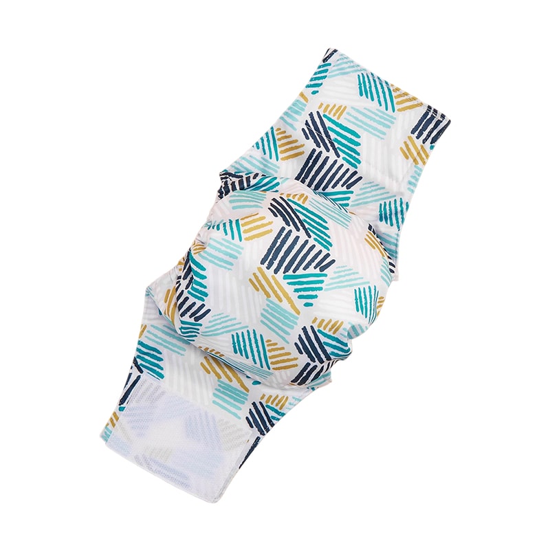 【スラッシュ/L】オス犬用 マナーベルト