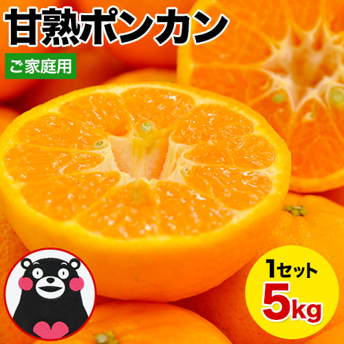 【5kg】甘熟ポンカン※ご家庭用（傷あり サイズ不選別）