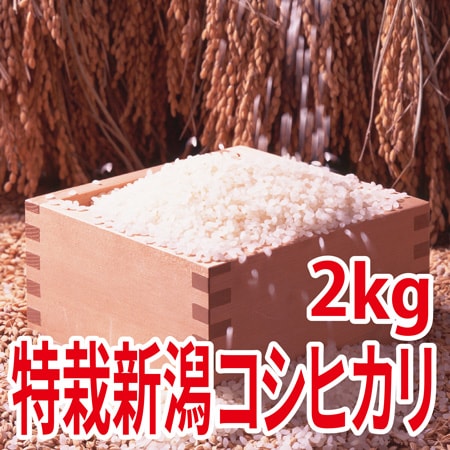 【2kg×1袋】令和7年産  特別栽培米新潟県阿賀野産コシヒカリ