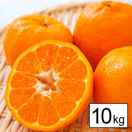 【10kg】宇和島産 小玉ぽんかん