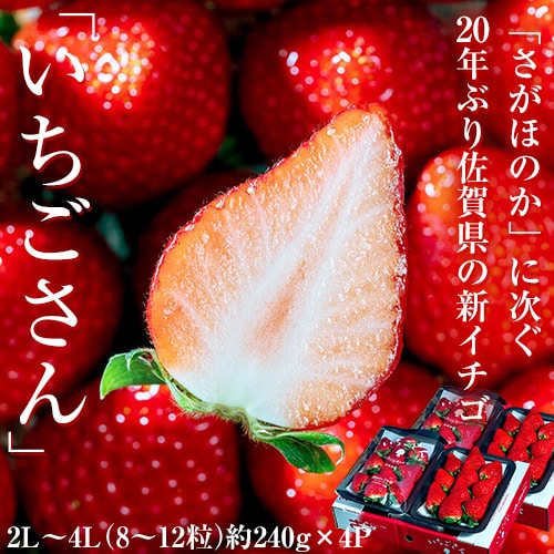【約240g×4パック(1Pの目安8~12粒)】佐賀県産いちごさん 2L~4Lサイズ