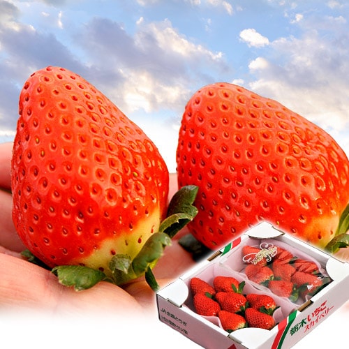 【約280g×4パック】栃木県産 スカイベリー 等級：G