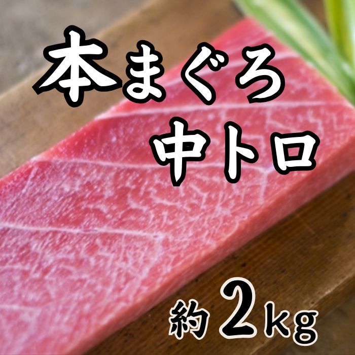 【約2kg】本まぐろ 中とろ（形・大きさ不揃い柵）