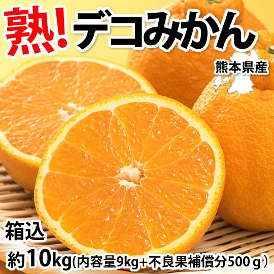 【箱込約10kg】熊本県産 デコみかん（傷あり、不揃い、ご家庭用）