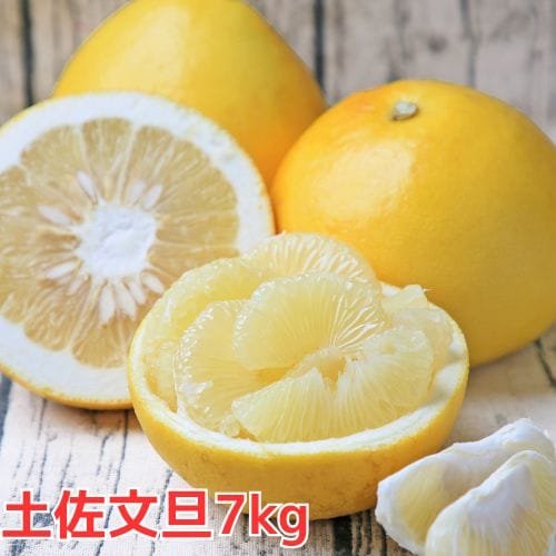 【7kg】高知県産 土佐文旦（ご家庭用・M-4Lサイズ込・枝傷・黒点等あり）