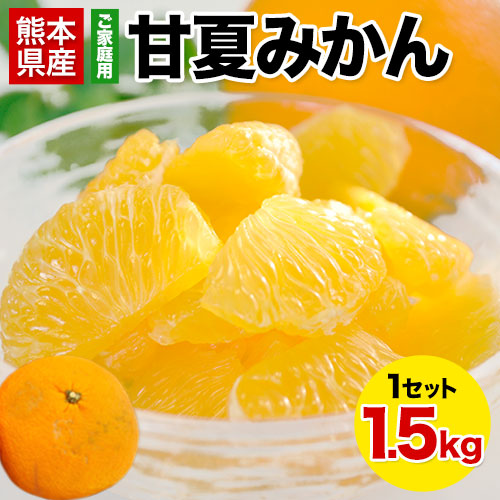 【1.5kg】甘夏※ご家庭用（傷あり サイズ不選別）