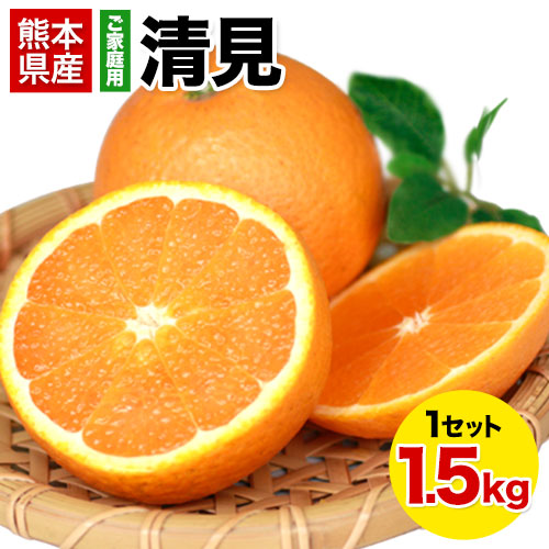 【1.5kg】清見※ご家庭用（傷あり サイズ不選別）