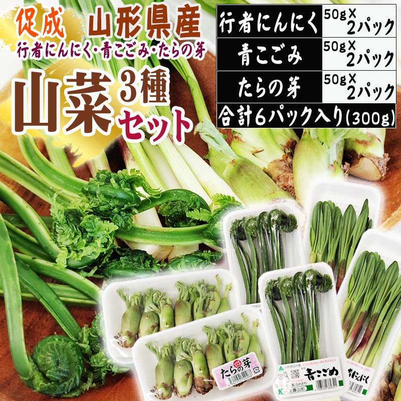 【3種300g】山形県産促成山菜＜行者にんにく・青こごみ・たらの芽＞(冷蔵便)