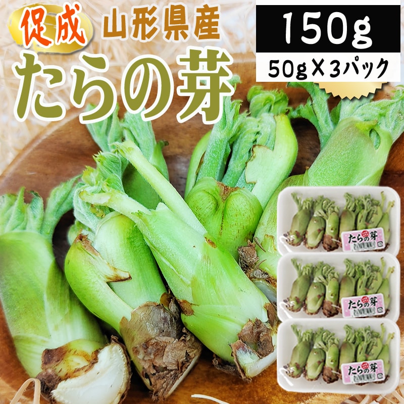 【150g】山形県産 促成山菜 たらの芽 50g×3パック(クール便)