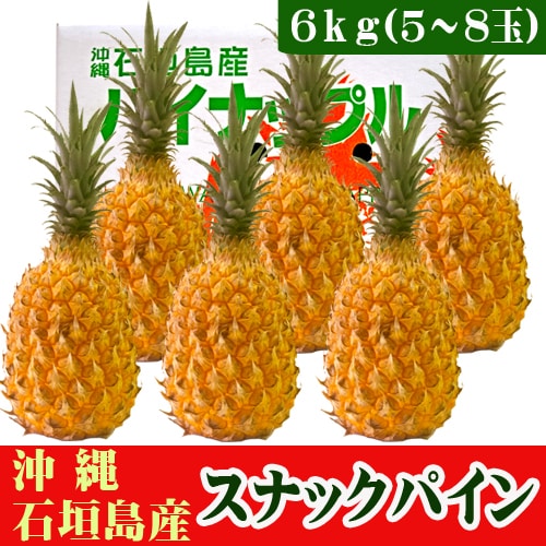 【予約受付】4/27~順次出荷【6kg(5~8玉)】石垣島産 スナックパイン（ボゴールパイン）