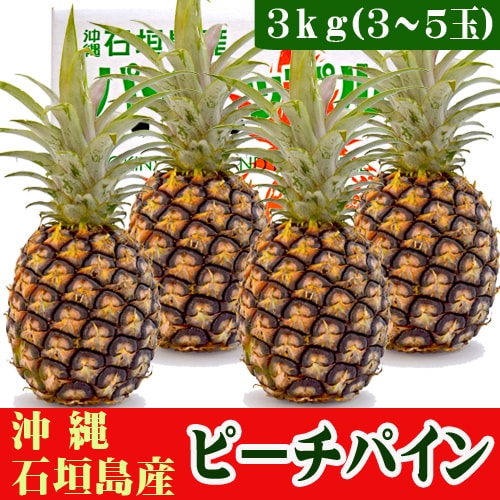 【予約受付】3/15~順次出荷【3kg(3-5玉)】石垣島の冬パイン（ピーチパイン）