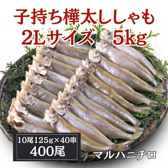 【賞味期限間近】【5kg/400尾(1尾125g/10尾×40串)】マルハニチロ 子持ちししゃも
