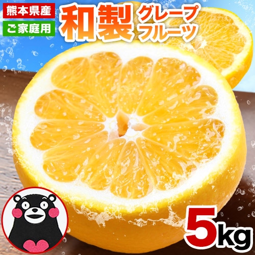 【予約受付】3/16~順次出荷【5kg】熊本県産 和製グレープフルーツ(河内晩柑)※ご家庭用