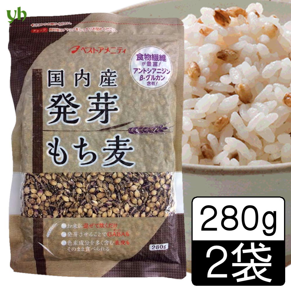 【280g×2袋】国内産 発芽もち麦(ダイシモチ) ベストアメニティ　もちもち ぷちぷち食感