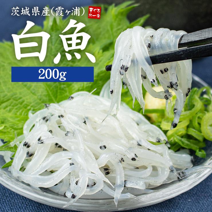 【200g】茨城県産 白魚 しらうお[[白魚200g]