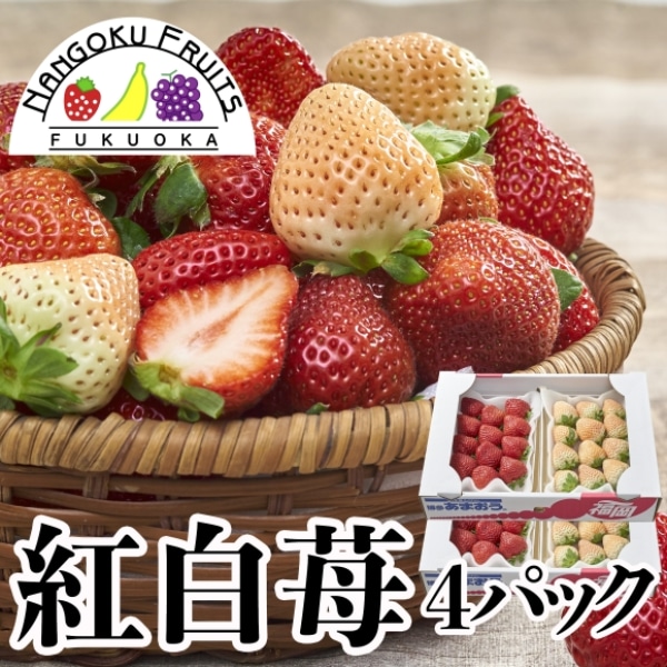 【福岡・佐賀他】4パック　紅白苺（あまおう＆白いちご）