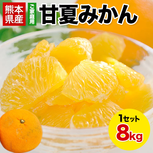 【8kg】甘夏※ご家庭用（傷あり サイズ不選別）